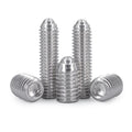 Guaranteed Set Screws Silver Plated M2 Ss202 Allen Hexagon Socket Grub Screw