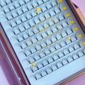 Flourishing Fans 3D 4D 5D 6D 10D Super Roots Private Labels Eyelashes Customizable Fan Eyelashes