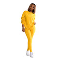 Autumn and Winter Hot Sell Women Fall Clothing Solid 2 Piece Set Women Casual Dresses Women Sets Two Piece  Jogging Clothes