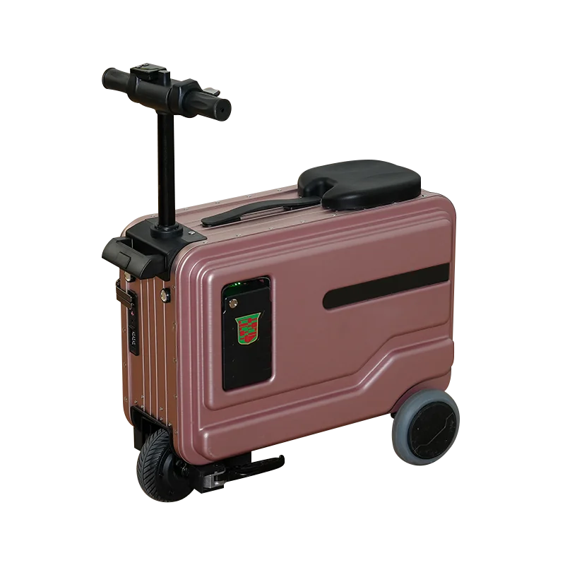 Alilotop 20-Inch TSA Luggage Trolley Water Bottle Holder Cell Phone Charger Portable Business Travel Computer Shell Frame