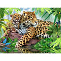 Chenistory 994197 Oil Paint Painting by Numbers Diy Picture Drawing Coloring on Canvas Painting by Hand Wall Paint by Numbers