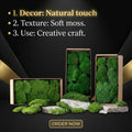 HFloral Wholesale Handmade Multi-color Preserved Reindeer Moss Bulk Eco-Friendly Stabilized Square Moss for Indoor Wall