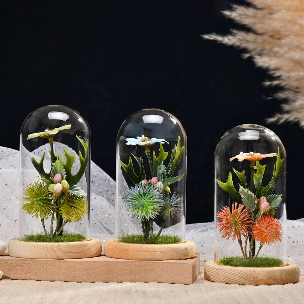 Home Decor Microlandscape Mini Green Plant Glass Over Dome Bryophyte Office Desktop Decoration