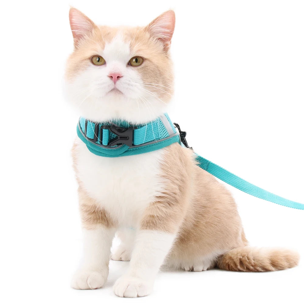Breathable Light Reflective Solid Color Dog Leash Harness Set with Alloy Plastic Polyester Materials Ribbons Decoration