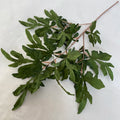 Long Branches 13 Spring Leaves for Wedding Decoration Artificial Plants