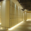 CARTMAY Room Furniture Custom Waterproof Storage Cabinets Electronic Health Club Sports Gym HPL Lockers for Changing Room