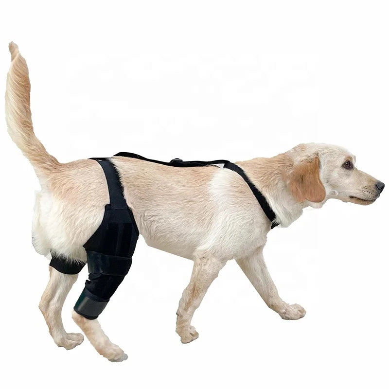 New Design Soft Comfortable Neoprene Dog Knee Brace Breathable and 10 Side Stabilizers for Torn ACL Spring Protection