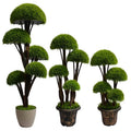 C084 New Artificial Plants Cypress Leaf Potted Plants Resistant Green Foliage Potted Pine Leaf Artificial Topiary Tree
