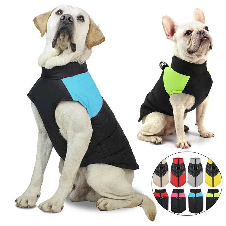 S to 5XL Cold Weather Warm Padded Cotton Pet Jacket Clothes Puppy Small Medium Dog Winter Coat with D Ring Leash