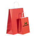 Customized Luxury Reusable Shopping Paper Bag with Ribbon Handle Excellent Quality Promotional Item