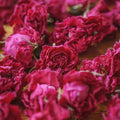 Pure Natural Pingyin Rose Flower Tea Premium Dried Rose Flowers Herbal Tea EU Standard