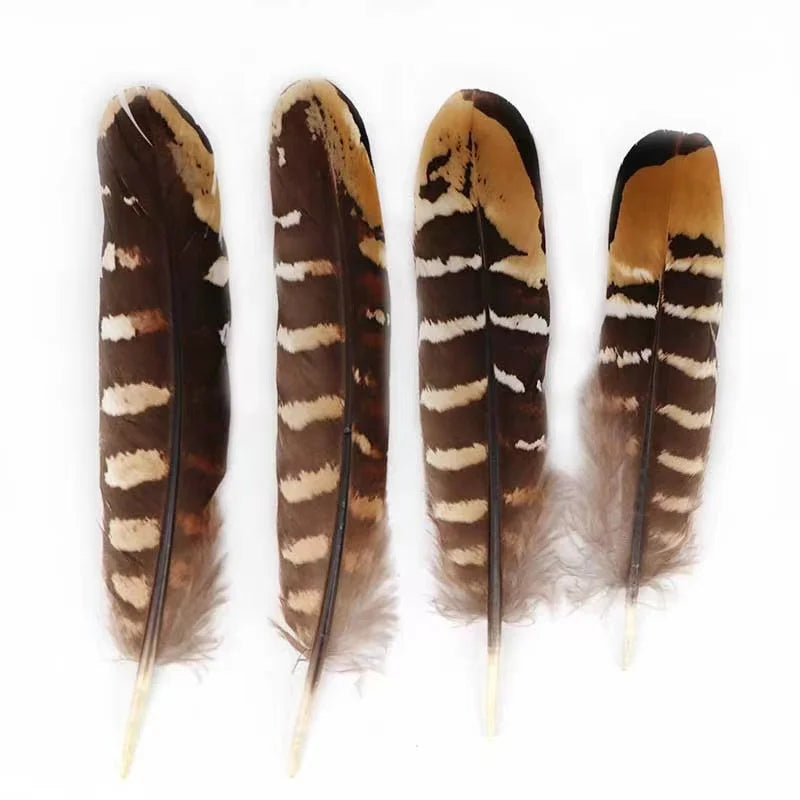 Hot Sale Wholesale Cheap Pheasant Feather of Venery Pheasant Wing Quills