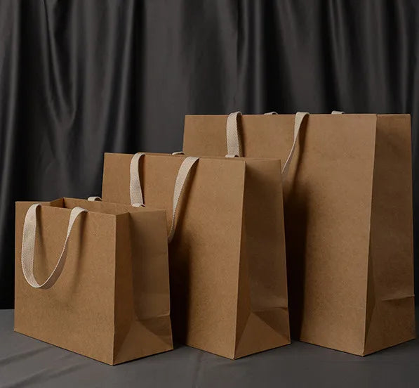Luxury Coated Paper Biodegradable Bag with Embossed Satin Cotton Handle and Custom Label Sticker