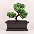 36cm Rectangle Bonsai Pots Large Plastic Flower Pot Succulent Planter Flower Pot
