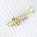 Professional China Bb Trumpet with High Quality Brush Professional Grade Musical Instrument