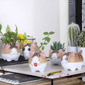 Handmade Creative Lovely Animal Cartoon Ceramic Flower Pot Mini Succulent Planter Cat Planter Flowerpots