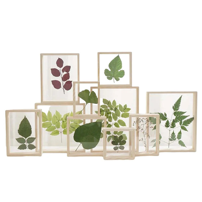Wholesale Custom Natural Mdf Wooden Shadow Box Frames Acrylic Glass Plant Floating Wood Picture Photo Frame for Home Decor