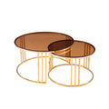 Sinochic Modern Living Room Furniture Coffee Table 3-piece Set Gold Metal Frame Side Table