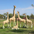 Safari Animals Statue for Rental Life Size Animal Garden Giraffe Stuff Animals Fiberglass Elephant Giraffe zebra Statue