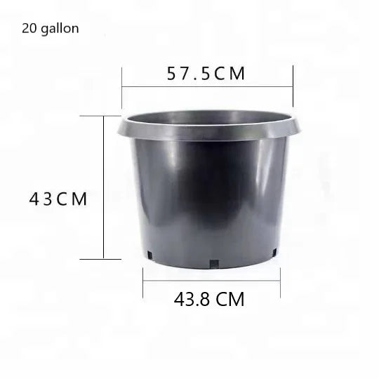 Hot Sale Black 20 Gallon Pot Factory Directly Wholesale Black Tree Pot
