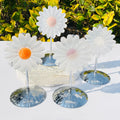 New Arrival Special Natural Selenite Crafts Crystal Selenite Sunflower with Holder Carving for Gifts and Home Decoration