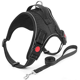 Custom Mix Color Size No Pull Adjustable Dog Vest Reflective Large Buckle Reversible Dog Harness With Leash