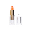 Wholesale Transparent Temperature Color Changing Lipstick Private Label Lipgloss Tube clear Lipsticks