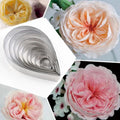 6/7/10pcs Roses Petal Cake Decorating Molds Stainless Steel Biscuit Fondant Cookie Cutter Wedding Baking Tools