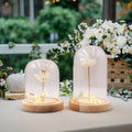 Hot Selling Glass Dome Display with Wood Base for Crafts Decoration Hand Made Custom Mini Bell Jars Glass Cloche Dome with Light