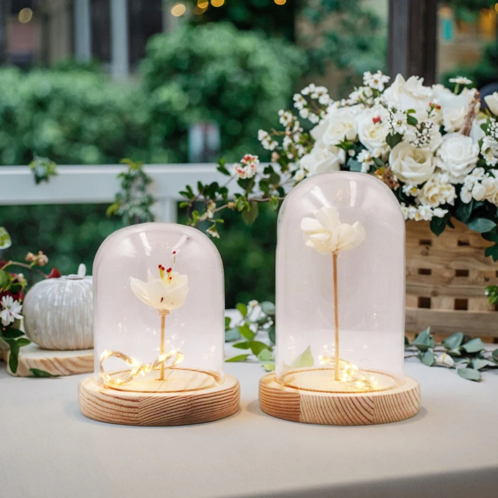 Hot Selling Glass Dome Display with Wood Base for Crafts Decoration Hand Made Custom Mini Bell Jars Glass Cloche Dome with Light