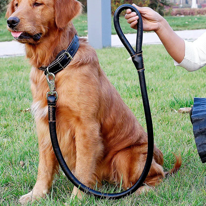 Wholesale Medium Large Luxury Leather Pet Collars Leashes Harness Dog Leash Set