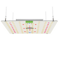 65W 120W LM301H EVO LED Grow Light 3500K IR Full Spectrum Plant Grow Light for Flowers Vegetables Indoor and Outdoor