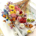 M076 Natural Mini Daisy Small Star Dried Flowers Real Dry Floral Supplies for Cosmetics DIY Lipstick for Graduation Easter