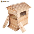 Chinese Wax-Coated Cedar Wood Automatic Selfflowing Honey Hive for Bees Apiculture Beekeeping Equipment Tool Beehive Apicultura