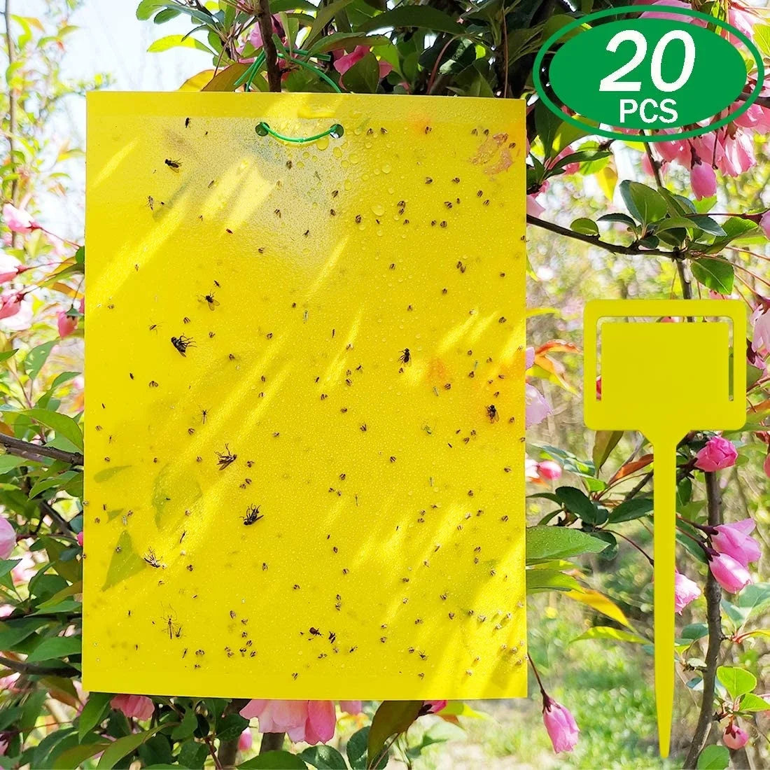 20 Sheets 8x6 Inches Yellow Double-Sided Glue Waterproof Eco-Friendly PE/PP Plastic Fruit Fly Traps Home Perimeter Control
