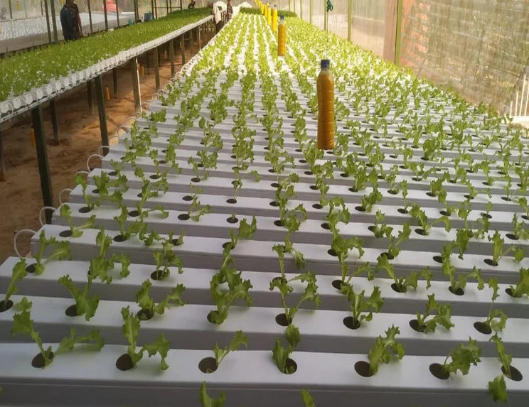 Industrial Greenhouse Vertical PVC Square Pipe Hydroponic White 100*100 Growing Systems Nft Channel Reference
