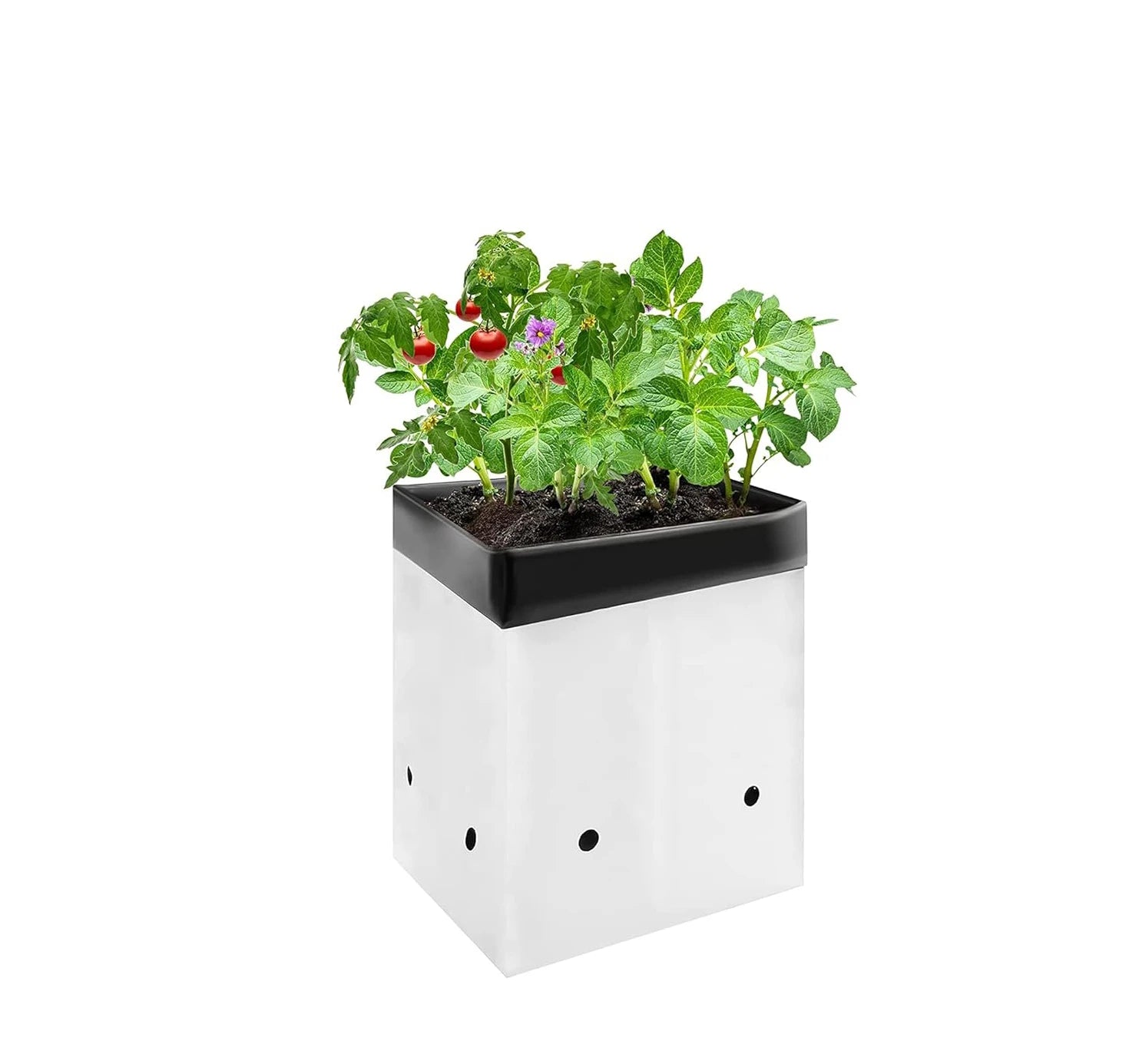 Wholesale Thickened PE Grow Bags for Plants Black-and-White Thick Plastic Bags for Potting Square Planting Bags for Garden