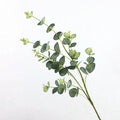 H0753 Fake Plant Stem Leaves Plastic Silk Fabric Real Touch Eucalyptus Artificial Flowers Greenery Eucalyptuse Branch for Decor