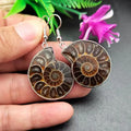Dark Color No Pit High Quality Natural Stone Jewelry Ammonite Snail Conch Shell Healing Dangle Hook Earrings for Women Jewelry