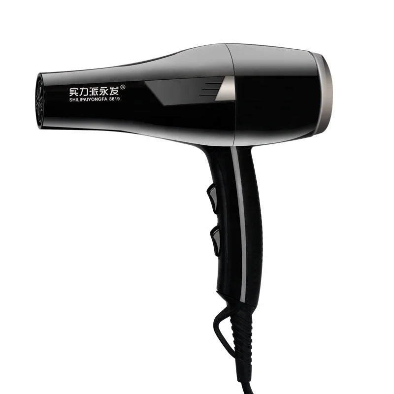 Professional Factory Hair Dryer for Barbershop Fast Heating High Power Anion Hair Care Tool Ionic Foldable for Hotel Use Strong