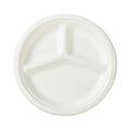 Three Biodegradable Dinner Plates From Sugarcane Residue Eco-Friendly Disposable for Camping Made of Bagasse