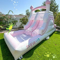 Factory Customized Family Backyard Party Slide Commercial Inflatable Water Slide Kids Slide with Pool