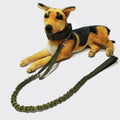 Durable Strong Nylon Elastic String Training Walking Dog Collar Leash Set Wholesale Price Pet Leashes