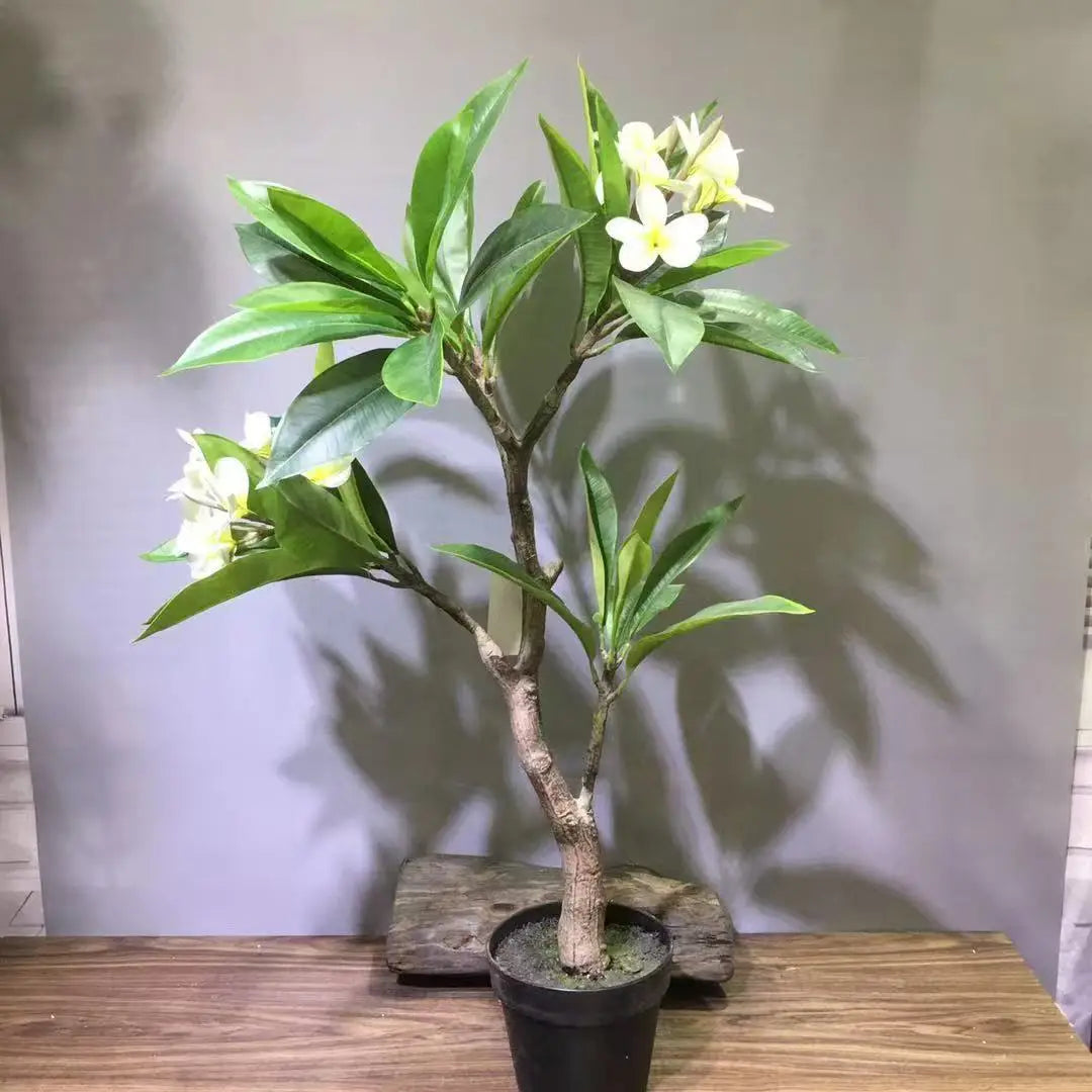 Artificial Plant Tropical Plumeria Flowers Tree Plants in Black Pot Hawaiian Frangipani Tree Floor for Home Office Wedding Decor