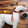 Newest Durable Nylon Webbing Pet Collar Adjustable Leash Multifunctional Cute Small Medium Large Dogs Cats Eco-Friendly Bell
