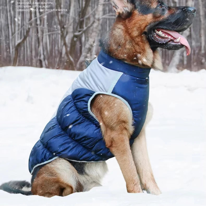 Pet Clothes Autumn Winter Warm Reflective Pet Clothing Waterproof Windproof Thickened Dog Clothes Wholesale