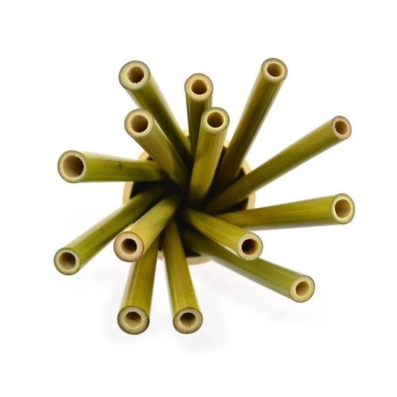Wholesale Online Shop Top Seller 2021 Green Bamboo Straw Sustainable Eco Friendly Products