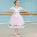 Pink Long Romantic Ballet Tutu Professional Leotard Girl Ballet Adulto Costume Performance Ballet Dress for Girls Tutu Skirts