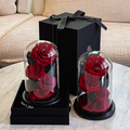 Father Day Present Preserved Roses Box Infinity Forever Eternal Rose Preserved Boxes for Eternal Roses