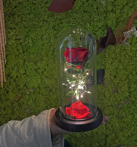2022 New Design Preserved Flower Valentine Gift Preserved Eternal Roses With Led Lights in Glass Dome